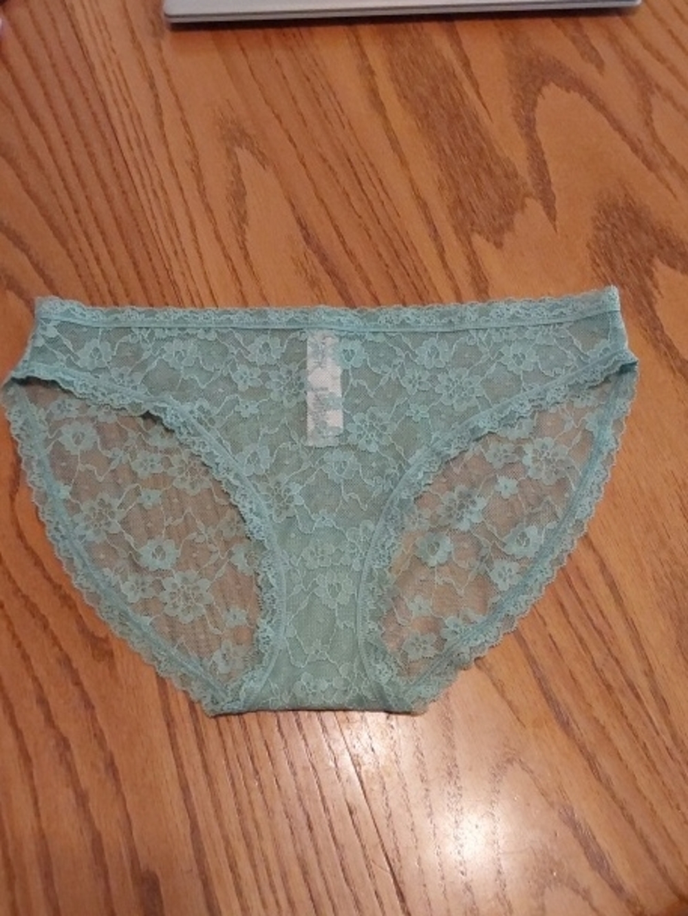 Victoria's Secret Sheer Floral Lace Bikini Panty - Mint